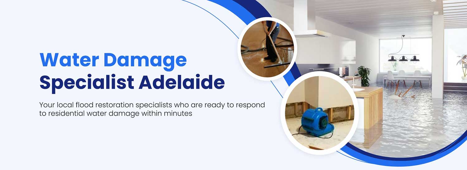 water damage specialist adelaide